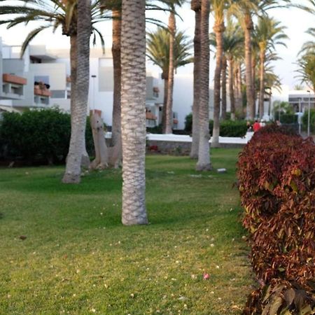 Vivienda Ida - Costa Del Silencio Tenerife エクステリア 写真